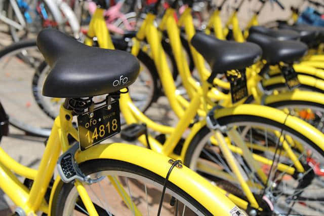 ofo单车正式进入北上广深 前Uber中国高管张严琪出任COO